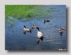 IMG_4061