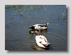 IMG_4064