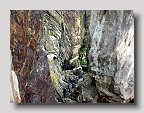 IMG_4074