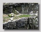 IMG_4075
