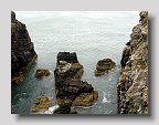 IMG_4077